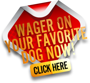 Click here to wager on your favorite dog now!